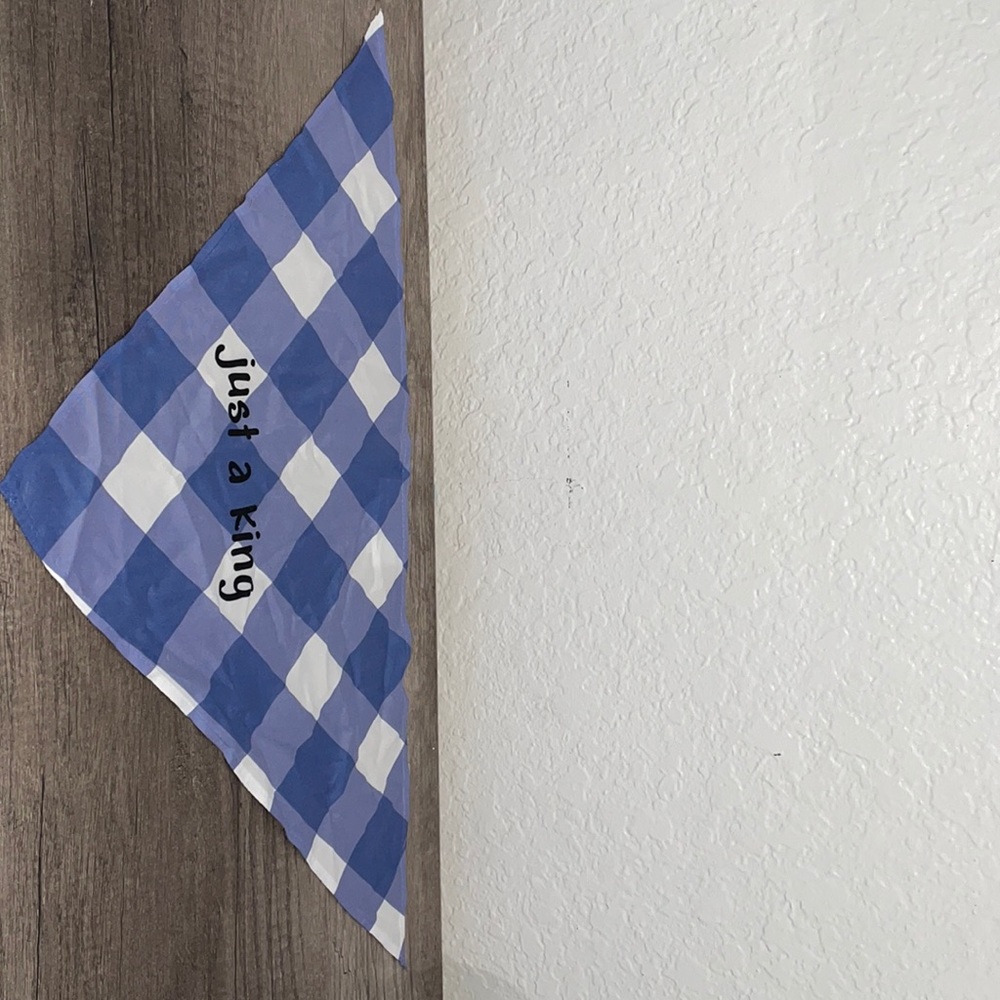 Dog bandana.